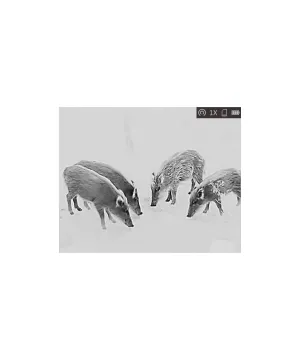 Monocular Térmico Lynx Pro LH25 HIKMICRO