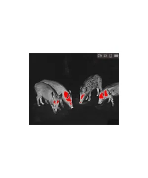 Monocular Térmico Lynx Pro LH19 HIKMICRO