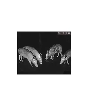 Monocular Térmico Lynx Pro LH19 HIKMICRO