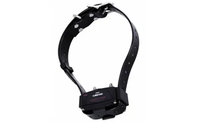 Collar para adiestramiento de perros adicional canicom