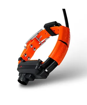 Collar adicional perros Localizador GPS Dogtrace X-30 para móvil  Collar adicional perros Localizador GPS Dogtrace X-30 para móvil