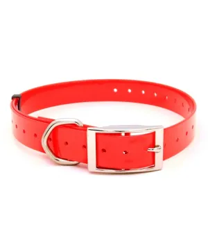 Collar para Perros Polytec 25 mm de ancho Collar para Perros Polytec 25 mm de ancho