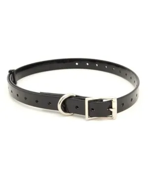 Collar para Perros polytec 16 mm de ancho Collar para Perros polytec 16 mm de ancho