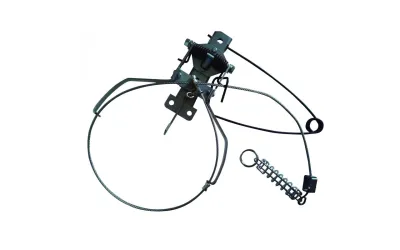 Lazo trampa collarum captura zorros