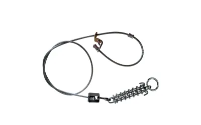 Lazo repuesto collarum