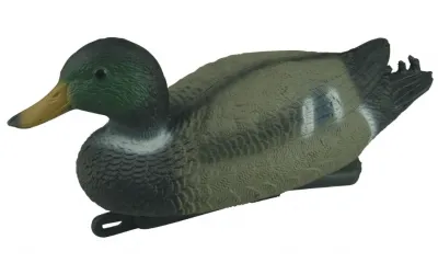 Cimbel pato Cimbel pato