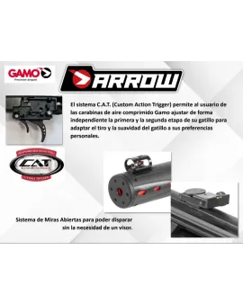 Carabina PCP Gamo Arrow - Nueva - 