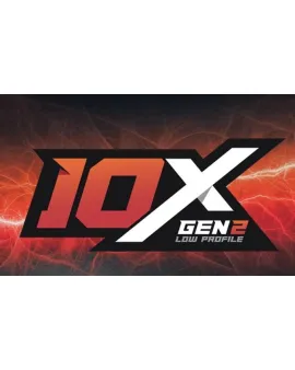 Carabina Gamo Roadster IGT 10X Gen2