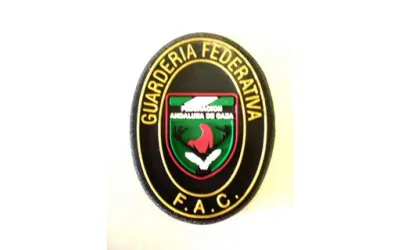 Emblema guarda pecho junta andalucia con velcro