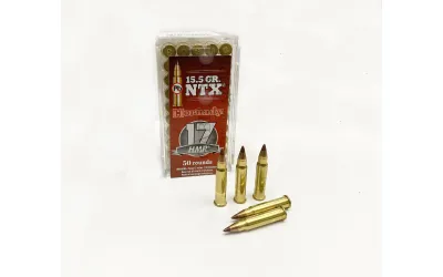Balas Hornady - 17 HMR - 15,5 grs - Punta Plástico NTX