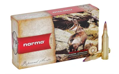 Balas Norma - 243 Win - 100 grs - SP