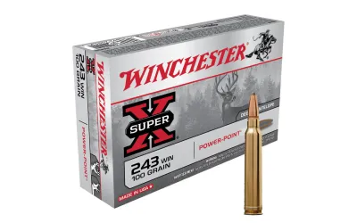 Balas Winchester Super X - 243 Win - 100 grs - Powerpoint