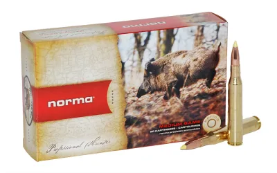 Balas Norma - 308 Win - 180 grs - Punta plástico