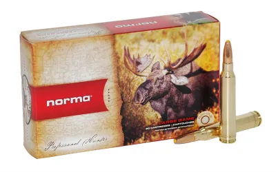 Balas Norma - 300 WM - 180 grs Punta plástico PPDC