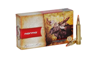 Balas Norma - TipStrike 300 - 170 grs - Punta plástico Balas Norma - TipStrike 300 - 170 grs - Punta plástico